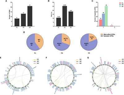 Detection of epistasis interaction loci for fiber quality-related trait via 3VmrMLM in upland cotton